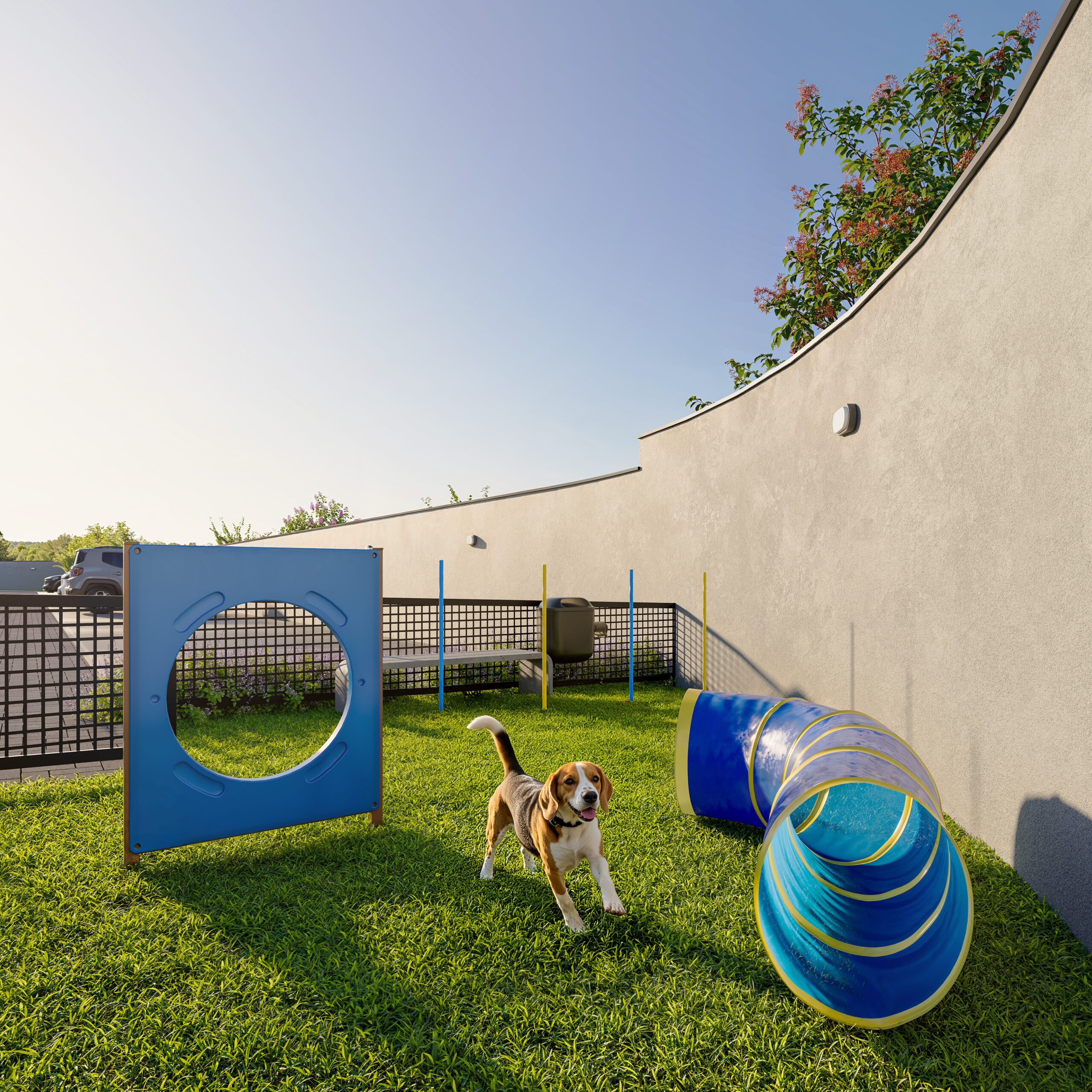 GERATRIZ_MARGARIDAS_PET_PLACE_OK